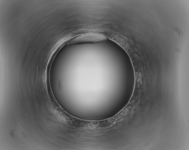 X0000111490148200907141246