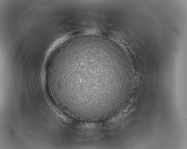 X0000111490149200907141246