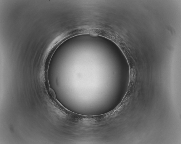 X0000111490150200907141246