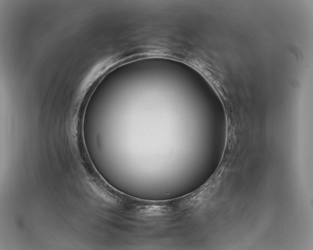 X0000111490151200907141246