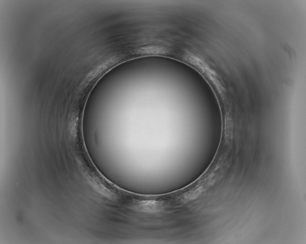 X0000111490153200907141246