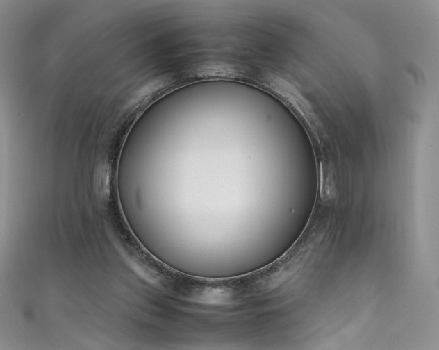 X0000111490157200907141246