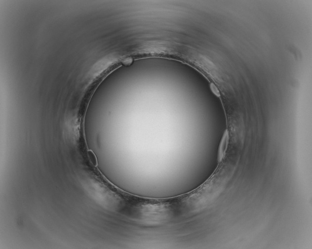 X0000111490160200907141246