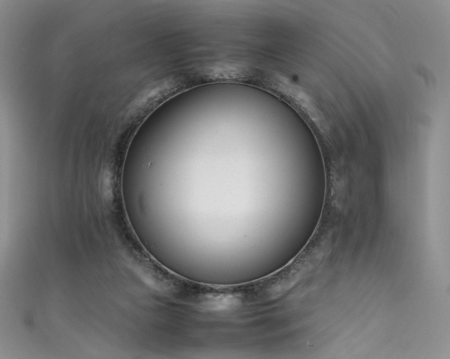 X0000111490161200907141246