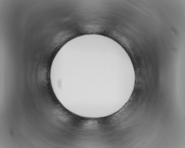 X0000111490162200907141246