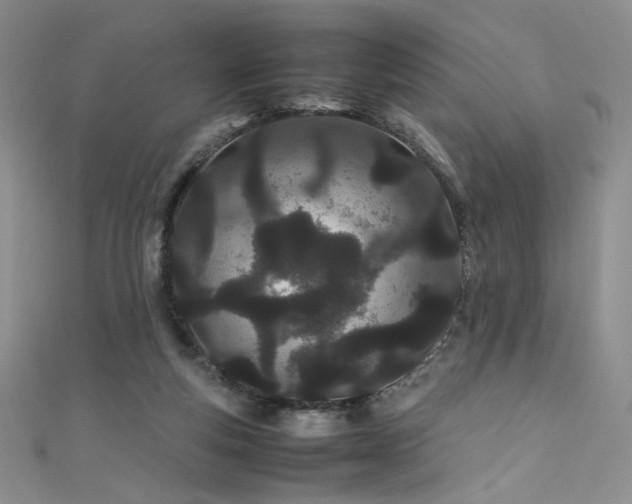 X0000111490163200907141246