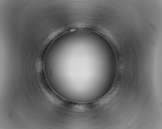 X0000111490164200907141246