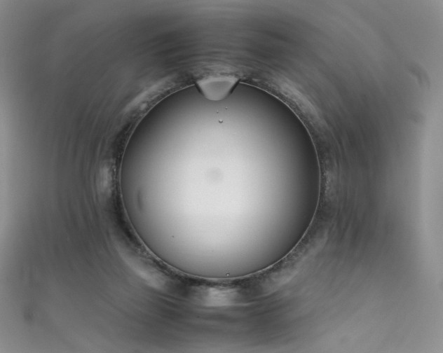 X0000111490165200907141246