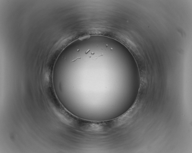 X0000111490166200907141246