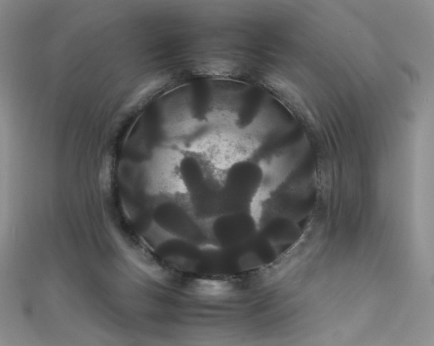 X0000111490167200907141246