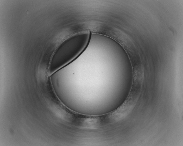 X0000111490168200907141246