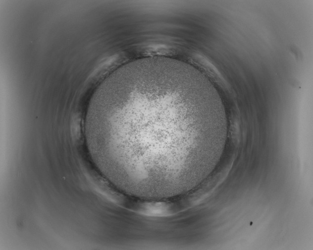 X0000111490169200907141246