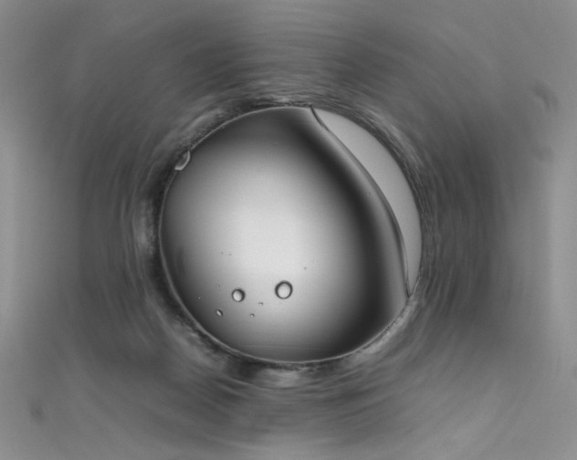 X0000111490170200907141246