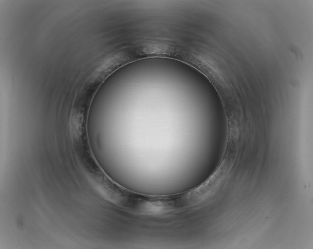 X0000111490171200907141246