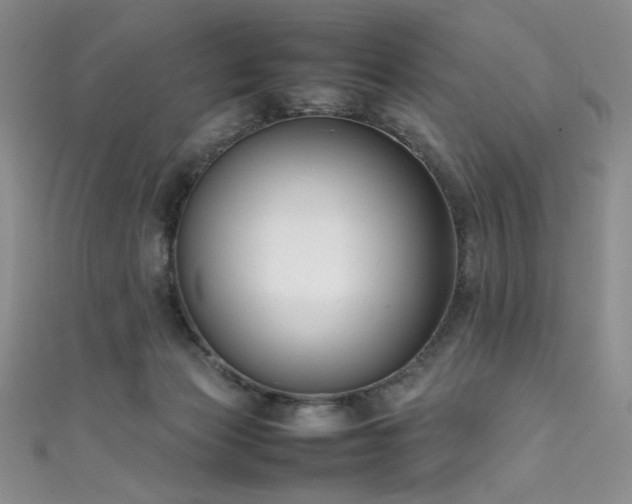 X0000111490173200907141246