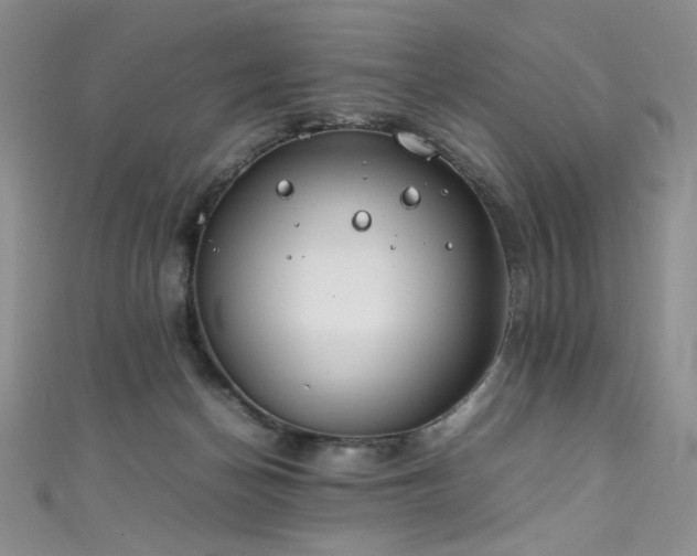 X0000111490174200907141246