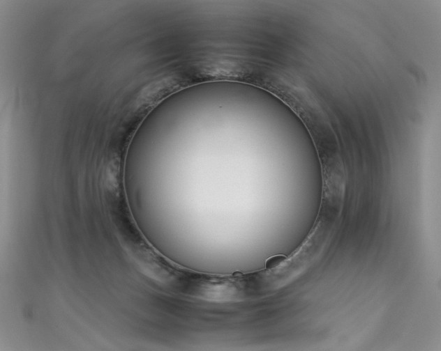 X0000111490175200907141246