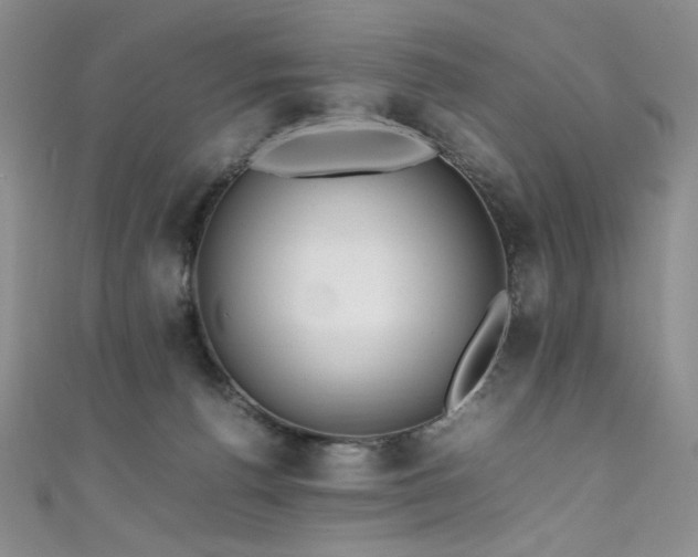 X0000111490176200907141246