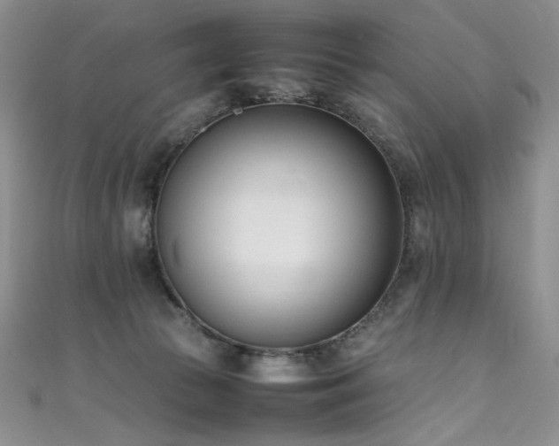 X0000111490177200907141246