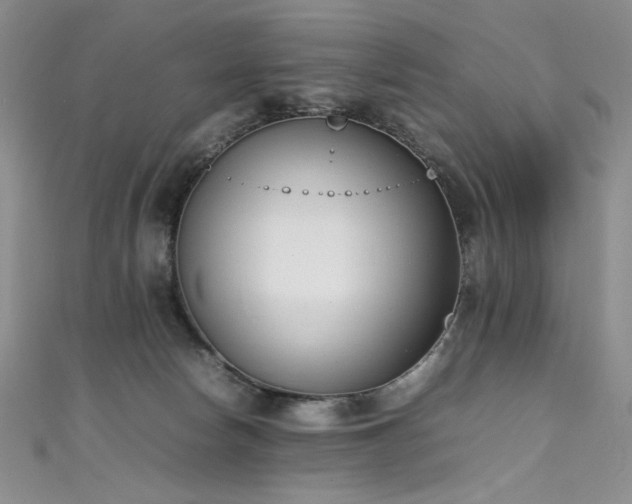 X0000111490178200907141246