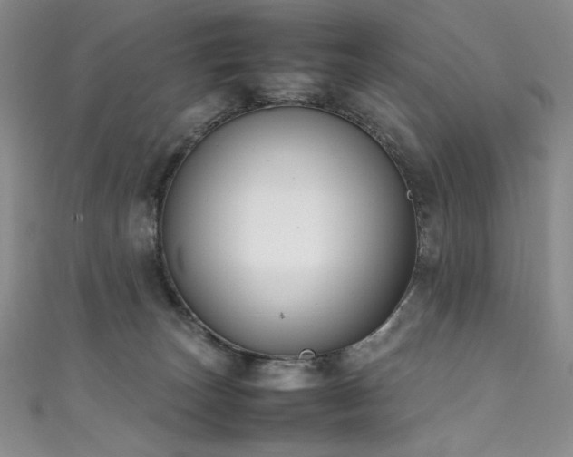 X0000111490179200907141246