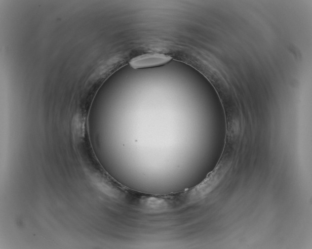 X0000111490180200907141246