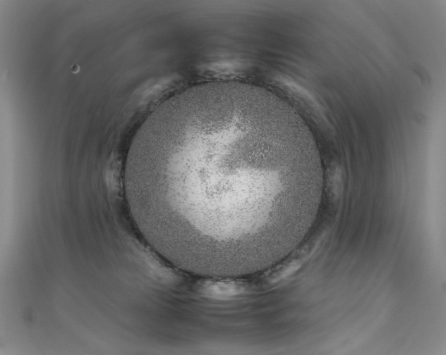 X0000111490181200907141246