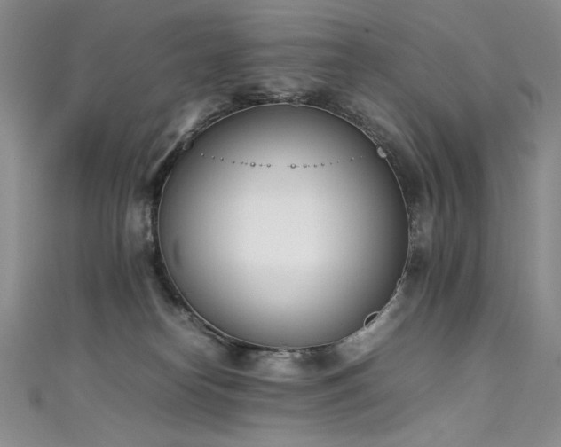 X0000111490182200907141246