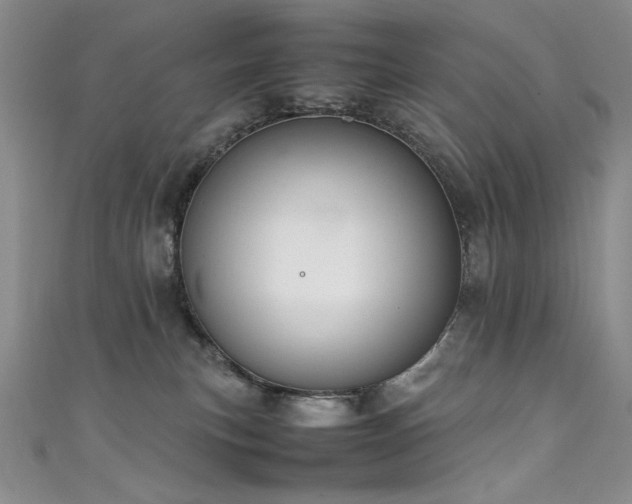 X0000111490183200907141246