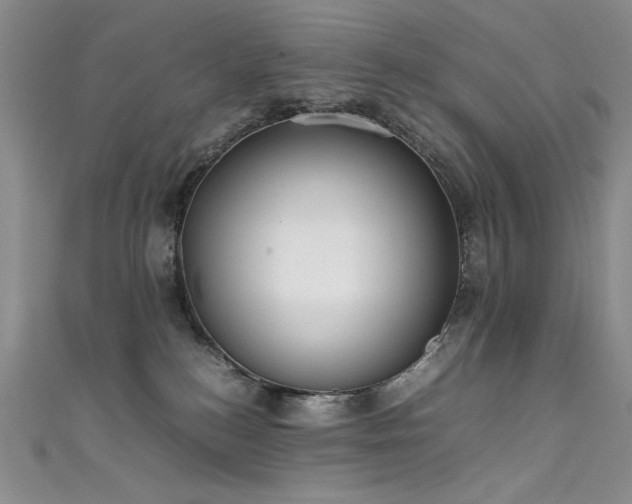 X0000111490184200907141246