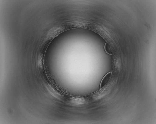 X0000111490185200907141246