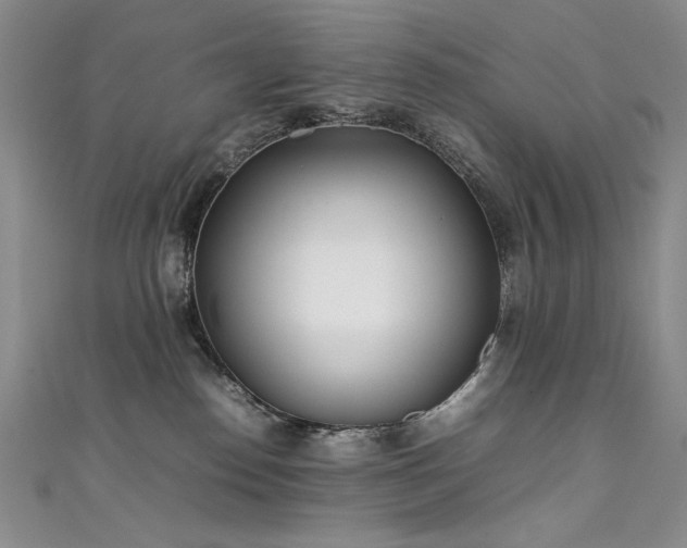 X0000111490186200907141246