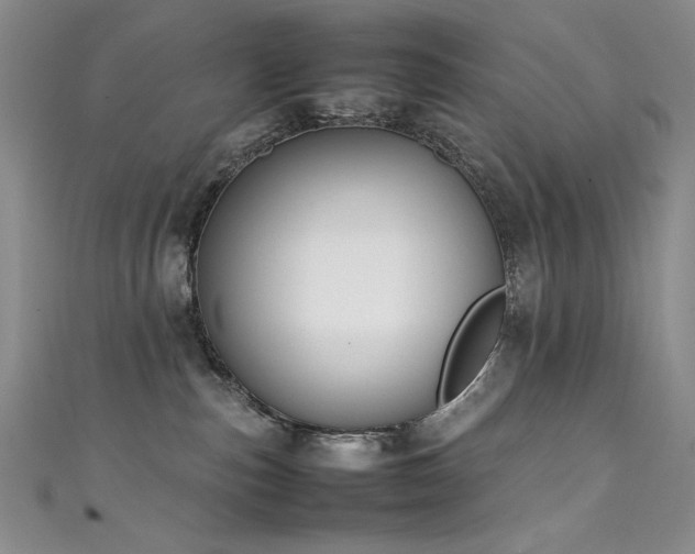 X0000111490187200907141246