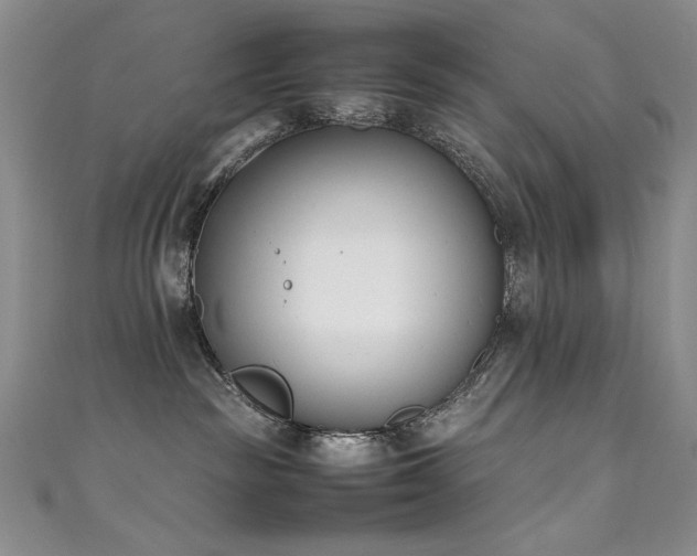 X0000111490189200907141246