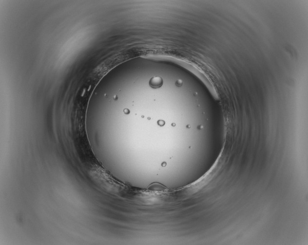 X0000111490190200907141246