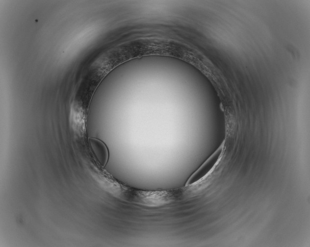 X0000111490191200907141246