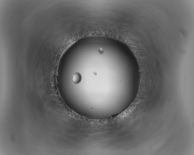 X0000111490192200907141246