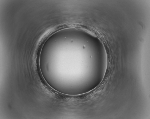 X0000111490197200907141245