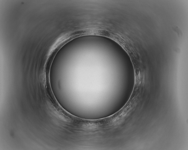 X0000111490198200907141245