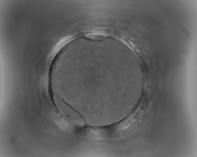 X0000111490199200907141245