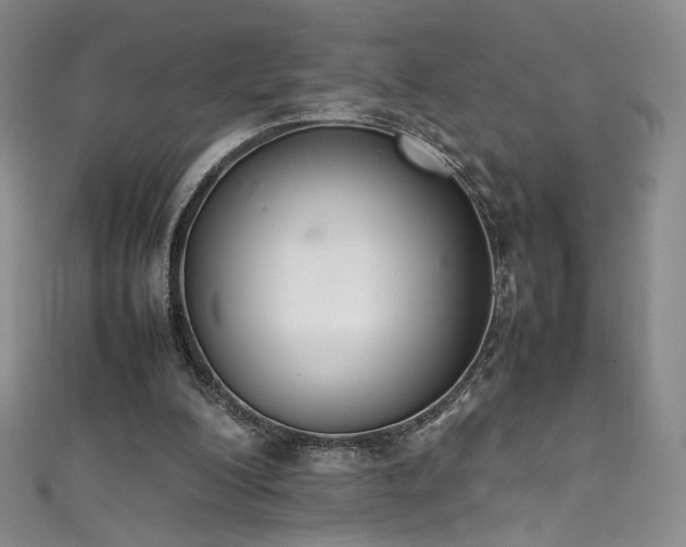 X0000111490200200907141245