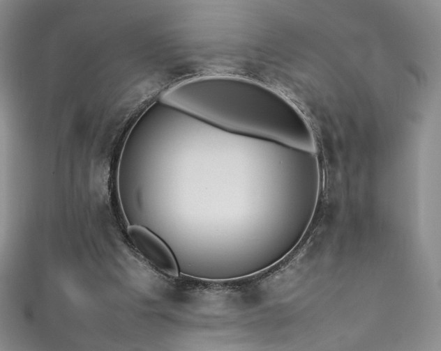 X0000111490201200907141245