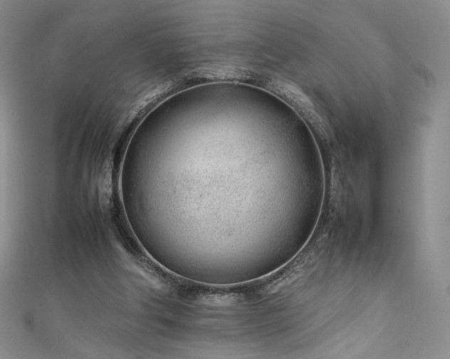 X0000111490202200907141245