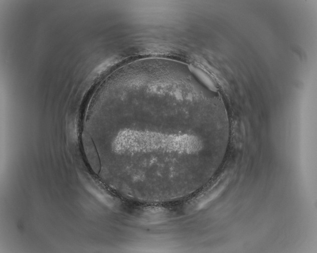 X0000111490203200907141245