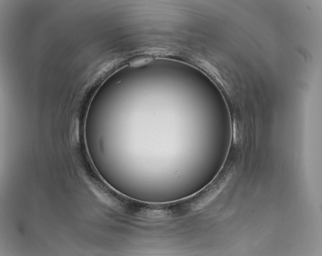 X0000111490205200907141245