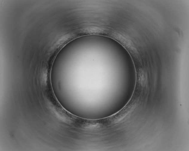 X0000111490206200907141245