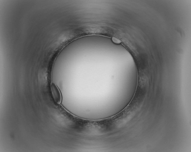 X0000111490207200907141245