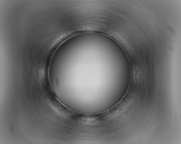 X0000111490208200907141245