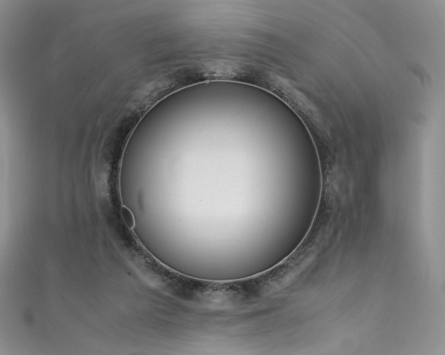 X0000111490209200907141245