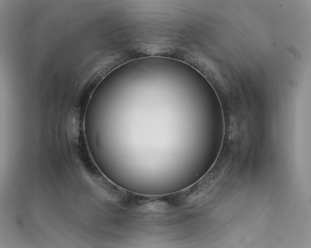 X0000111490210200907141245